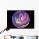 Fish-eye Lens Aurora Borealis Wall Decal Design 2