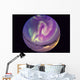 Fish-eye Lens Aurora Borealis Wall Decal Design 2
