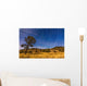 Circumpolar Star Trails over Wall Decal Design 2