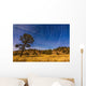 Circumpolar Star Trails over Wall Decal Design 2