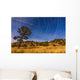 Circumpolar Star Trails over Wall Decal Design 2