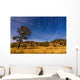 Circumpolar Star Trails over Wall Decal Design 2