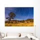 Circumpolar Star Trails over Wall Decal Design 2