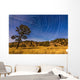 Circumpolar Star Trails over Wall Decal Design 2