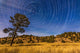 Circumpolar Star Trails over Wall Decal Design 2