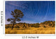 Circumpolar Star Trails over Wall Decal Design 2