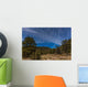 Circumpolar Star Trails over Wall Decal Design 1