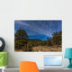Circumpolar Star Trails over Wall Decal Design 1