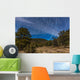 Circumpolar Star Trails over Wall Decal Design 1
