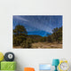 Circumpolar Star Trails over Wall Decal Design 1