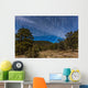 Circumpolar Star Trails over Wall Decal Design 1