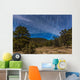 Circumpolar Star Trails over Wall Decal Design 1