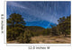 Circumpolar Star Trails over Wall Decal Design 1