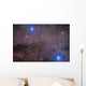 Coalsack and Jewel Box Wall Decal Design 2