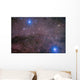 Coalsack and Jewel Box Wall Decal Design 2