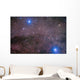 Coalsack and Jewel Box Wall Decal Design 2