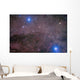 Coalsack and Jewel Box Wall Decal Design 2