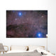 Coalsack and Jewel Box Wall Decal Design 2