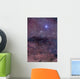Coalsack and Jewel Box Wall Decal Design 1