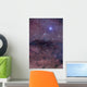 Coalsack and Jewel Box Wall Decal Design 1