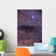 Coalsack and Jewel Box Wall Decal Design 1