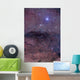 Coalsack and Jewel Box Wall Decal Design 1