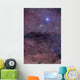 Coalsack and Jewel Box Wall Decal Design 1