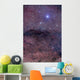 Coalsack and Jewel Box Wall Decal Design 1