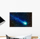 Comet Lovejoy C 2014 Wall Decal Design 2