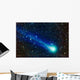 Comet Lovejoy C 2014 Wall Decal Design 2