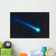 Comet Lovejoy C 2014 Wall Decal Design 1