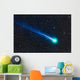 Comet Lovejoy C 2014 Wall Decal Design 1