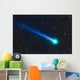 Comet Lovejoy C 2014 Wall Decal Design 1