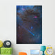 Comet Lovejoy's Long Ion Wall Decal