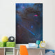 Comet Lovejoy's Long Ion Wall Decal