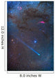 Comet Lovejoy's Long Ion Wall Decal