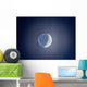 Crescent Moon with Earthshine Wall Decal Design 3