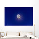 Crescent Moon with Earthshine Wall Decal Design 2