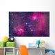 Flaming Star Nebula Auriga Wall Decal