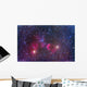 Ic 443 Supernova Remnant Wall Decal