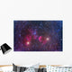 Ic 443 Supernova Remnant Wall Decal