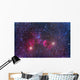 Ic 443 Supernova Remnant Wall Decal