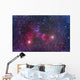 Ic 443 Supernova Remnant Wall Decal