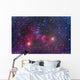 Ic 443 Supernova Remnant Wall Decal