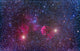 Ic 443 Supernova Remnant Wall Decal