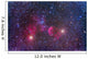 Ic 443 Supernova Remnant Wall Decal