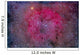 Ic 1396 and Garnet Wall Decal