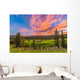 High Dynamic Range Photo Wall Decal Design 2