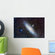 Andromeda Galaxy with Companions Wall Decal