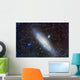 Andromeda Galaxy with Companions Wall Decal